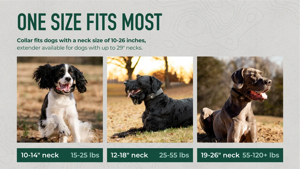 SpotOn GPS Dog Fence, Nova Edition 2