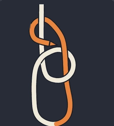Bowline Knot step 3: Around the tree