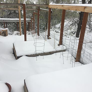 Late April Snowfall