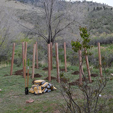 Preparing the Garden Walls