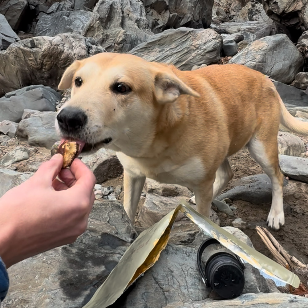 Treat MRE