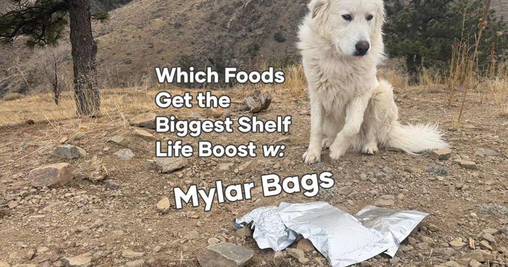 Which Foods Get the Biggest Shelf Life Boost with Mylar Bags