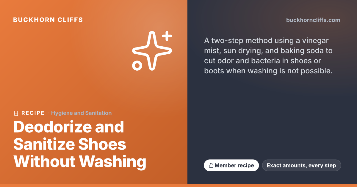 Deodorize and Sanitize Shoes Without Washing