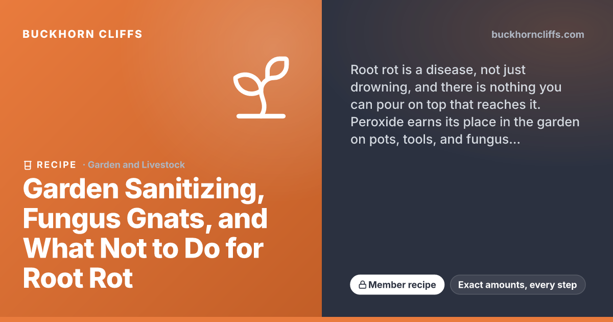Garden Sanitizing, Fungus Gnats, and Root Rot Mistakes