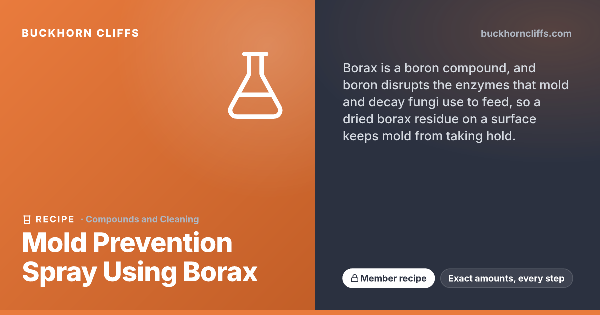 Mold Prevention Spray Using Borax | Buckhorn Cliffs