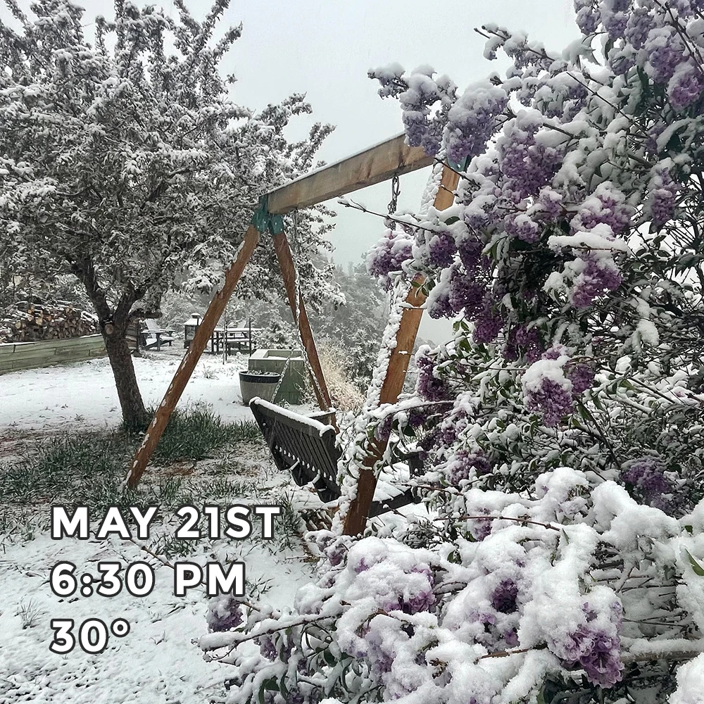 May 21st Buckhorn Cliffs May Snow in Colorado