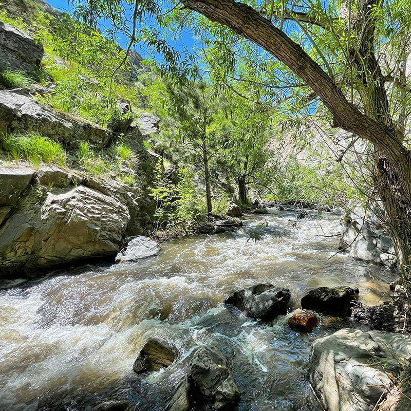 Buckhorn Creek