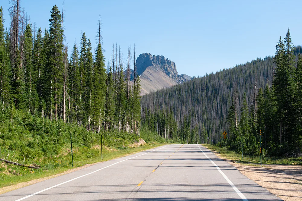 Cameron Pass Hwy 14