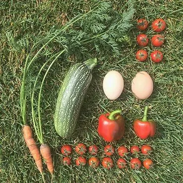 Colorado Gardening Rewards