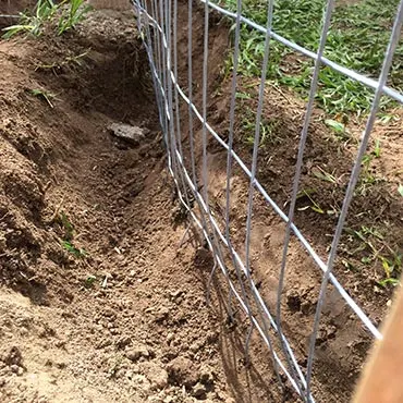 Dig Deep to Keep Bunnies Out