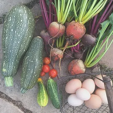 Gardening is Fun