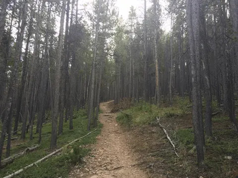 Hiking Donner Trail