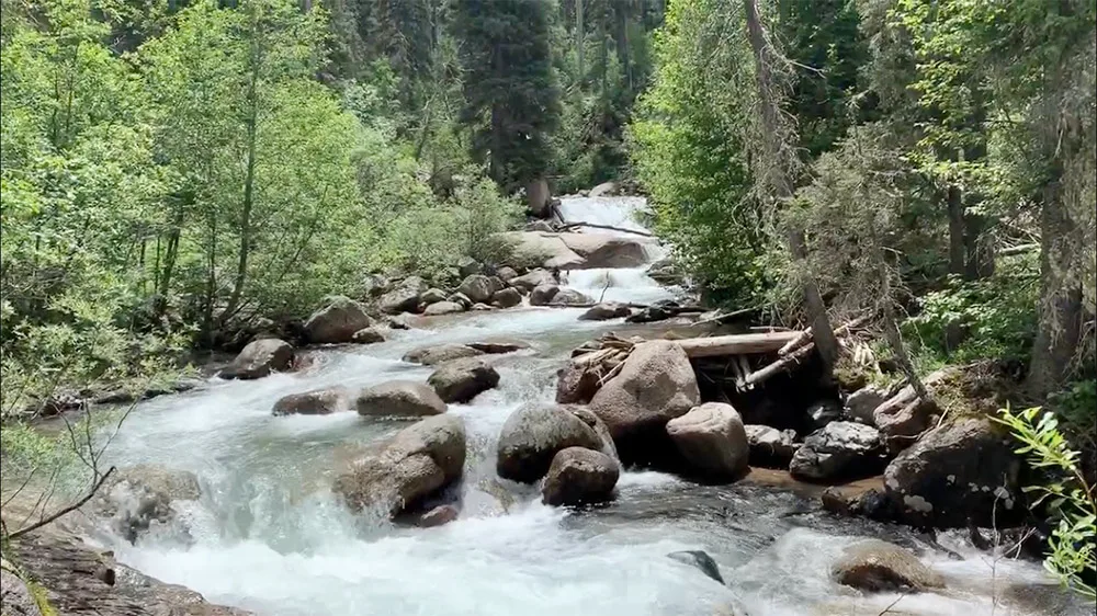 Hiking along the stream