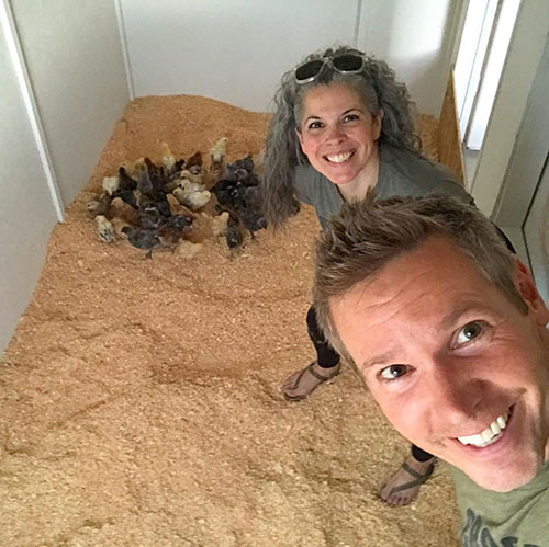 Indoor Chicken Coop