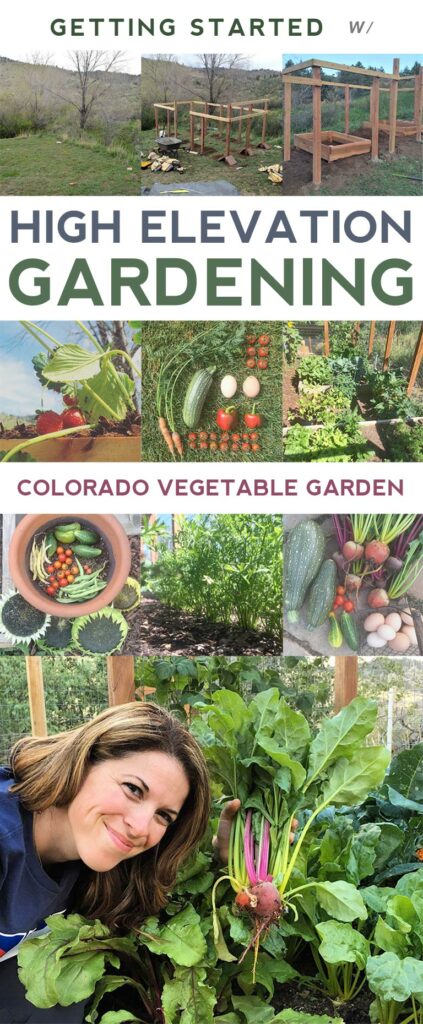 Gardening In Colorado: Best Plants & Vegetables That Grow Well