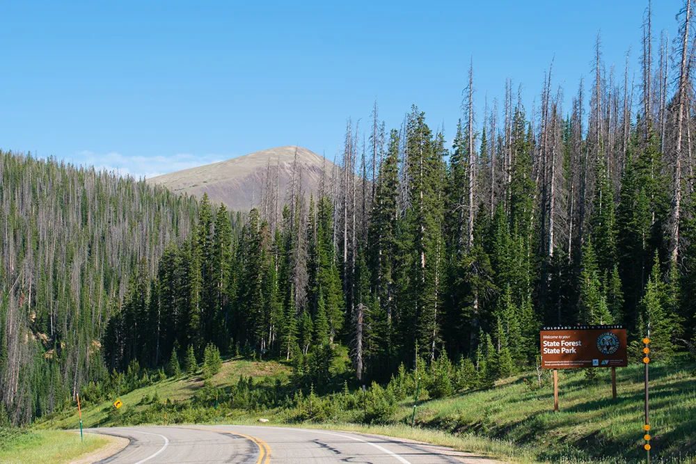 Entering State Forest State Park