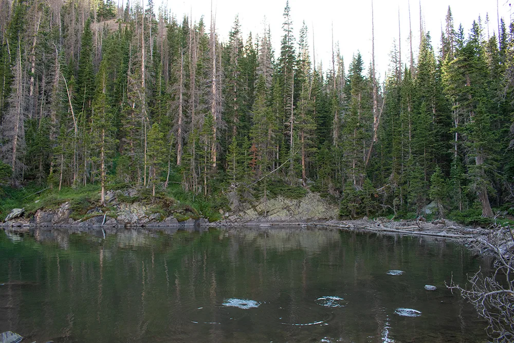 Stocked Fish Lake Agnes