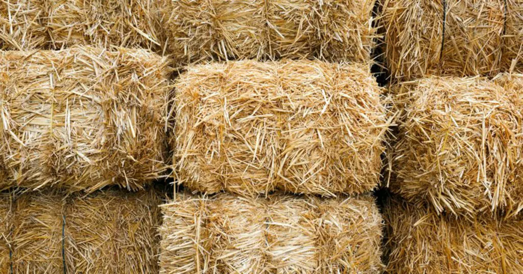 Hameau Farm in the Big Valley - Can you tell the difference between hay and  straw? More importantly, do you know what makes them different? Straw is an  agricultural byproduct consisting of