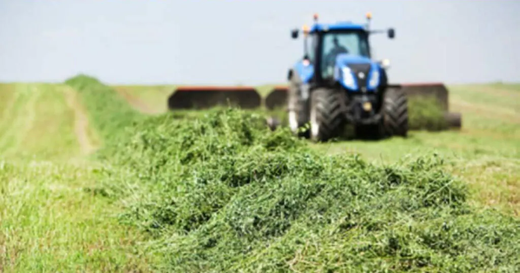 farming for hay