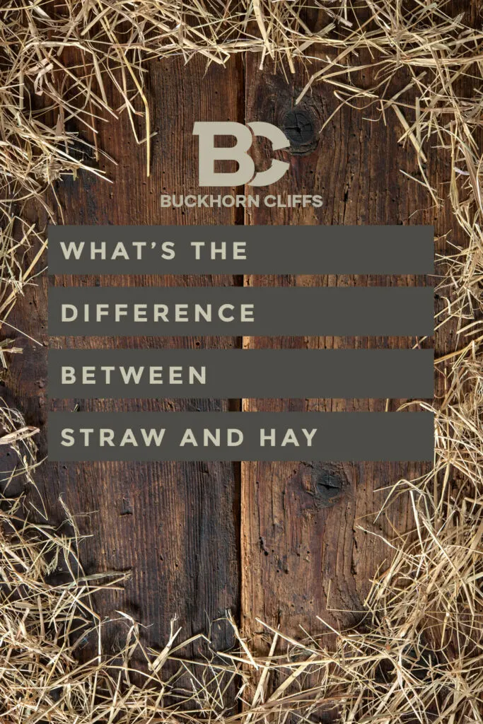 What's the difference between straw and hay?