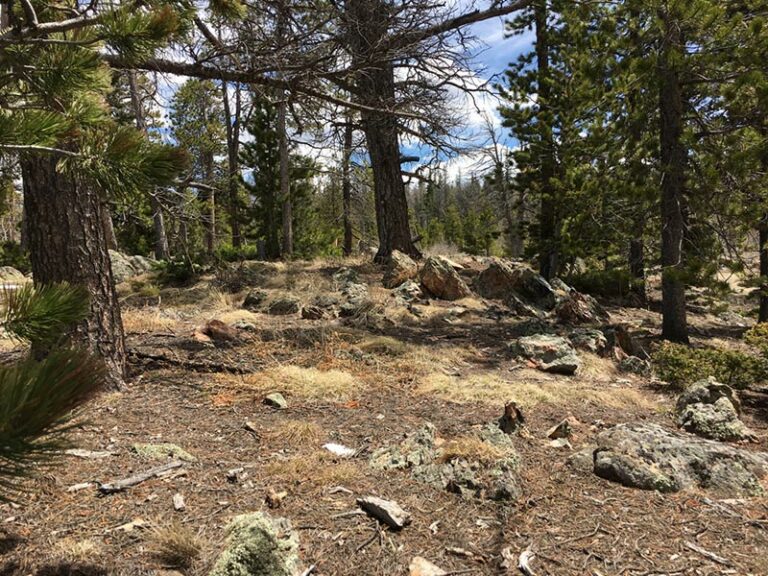 Dispersed Camping Colorado