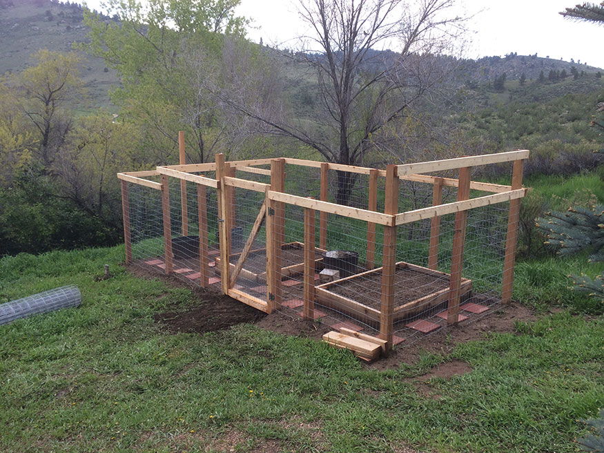 Diy Garden Fence Gate