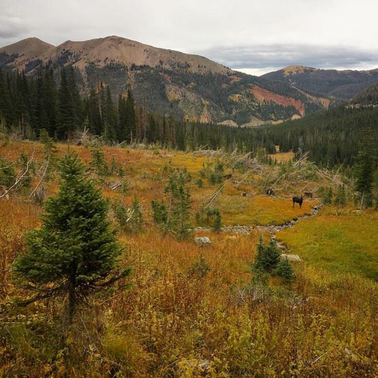 Dispersed camping colorado
