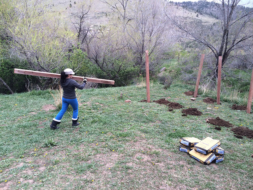 Starting a Garden Fence