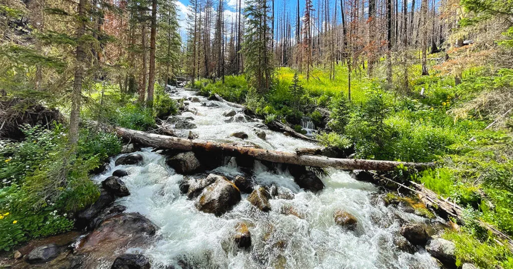 Hiking near Cameron Pass