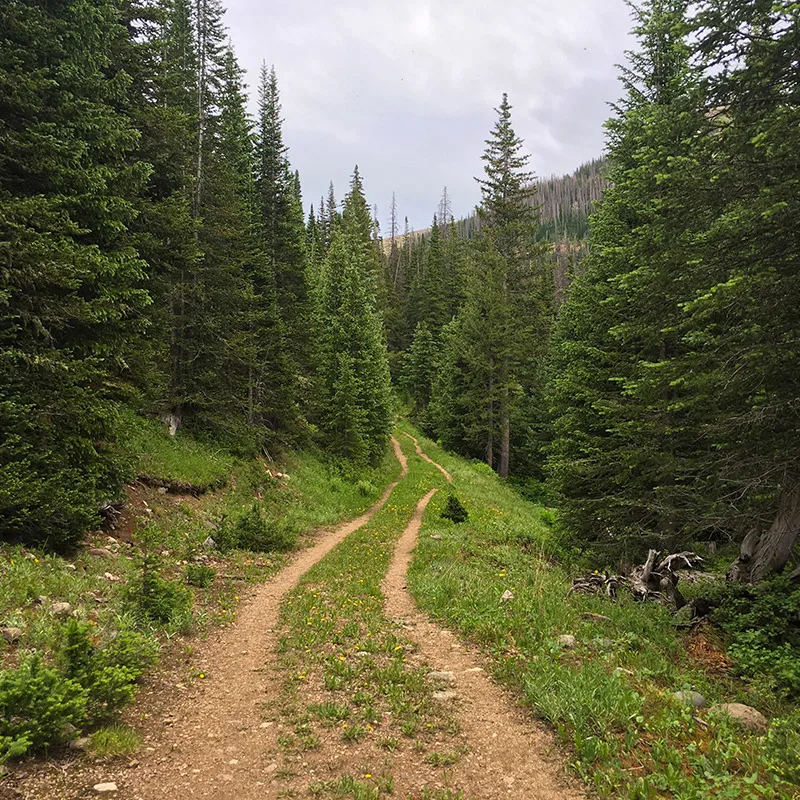 Off Road Trails near Cameron Pass