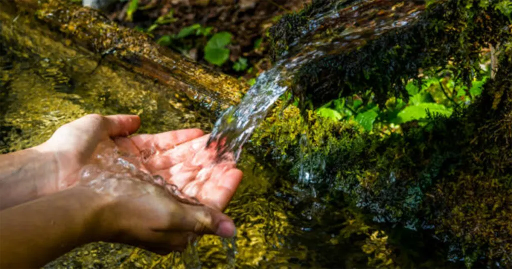 SURVIVAL 101: THREE WAYS TO BOIL WATER IN THE WILDERNESS » rddusa blog