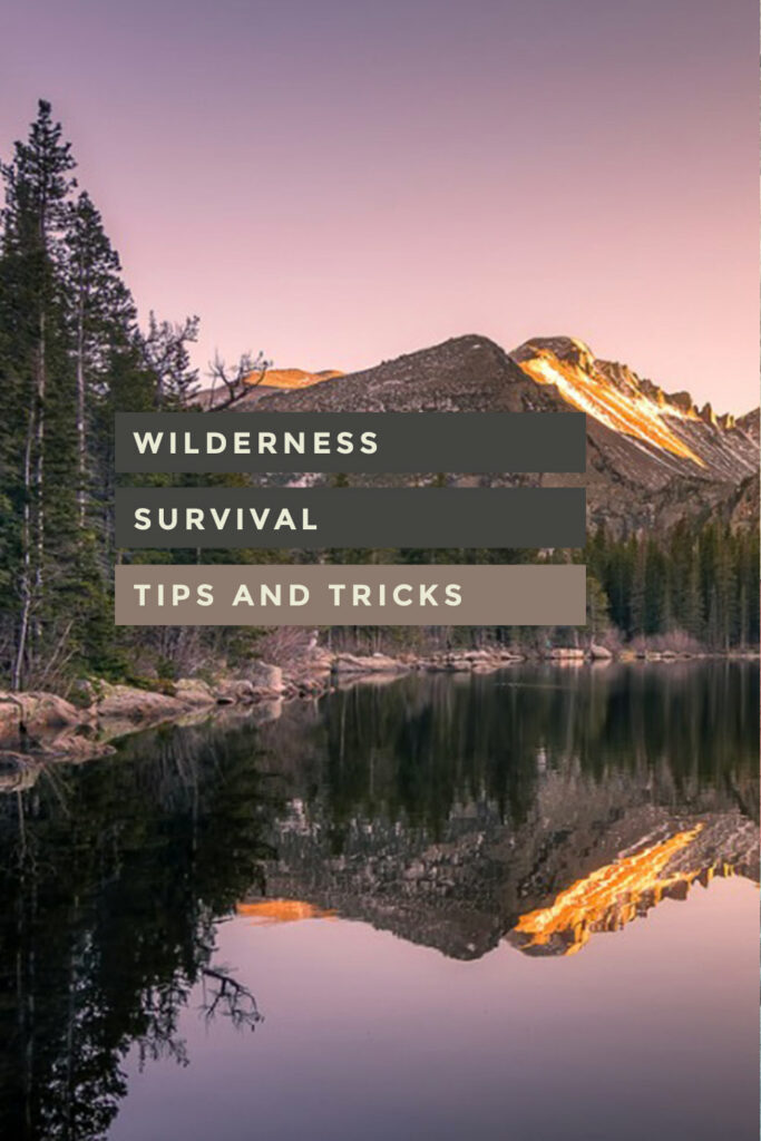 Wilderness Survival Tips and Tricks