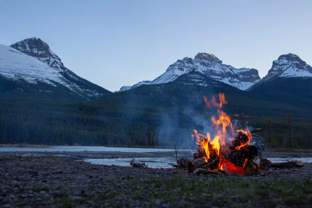 survival in the wilderness