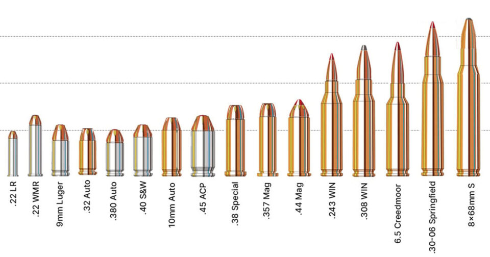 Ammunition By Caliber A Guide To Bullet Sizes