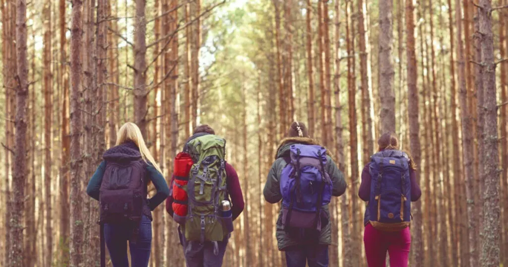 Choosing a Backpack