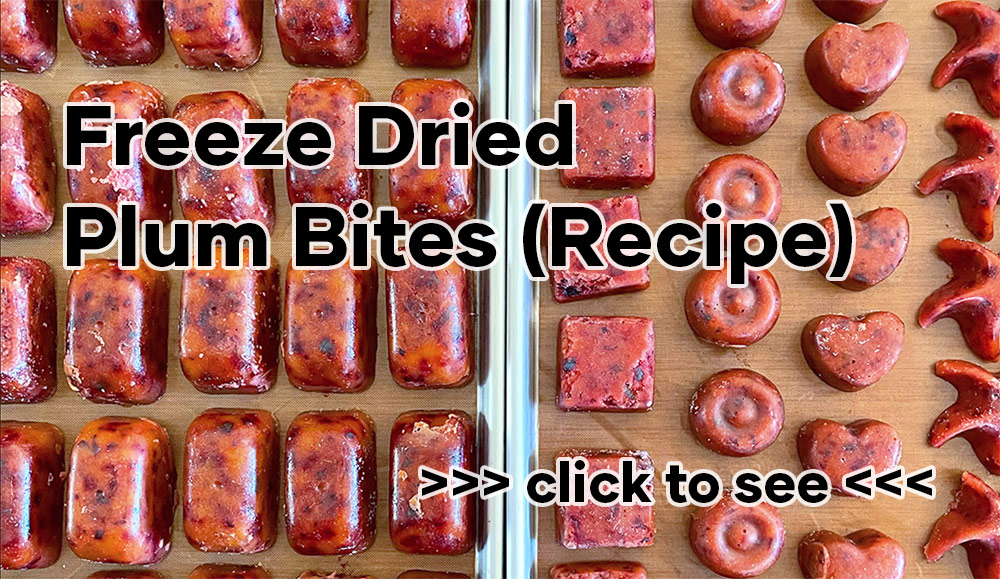Freeze Dried Plum Bites Recipe
