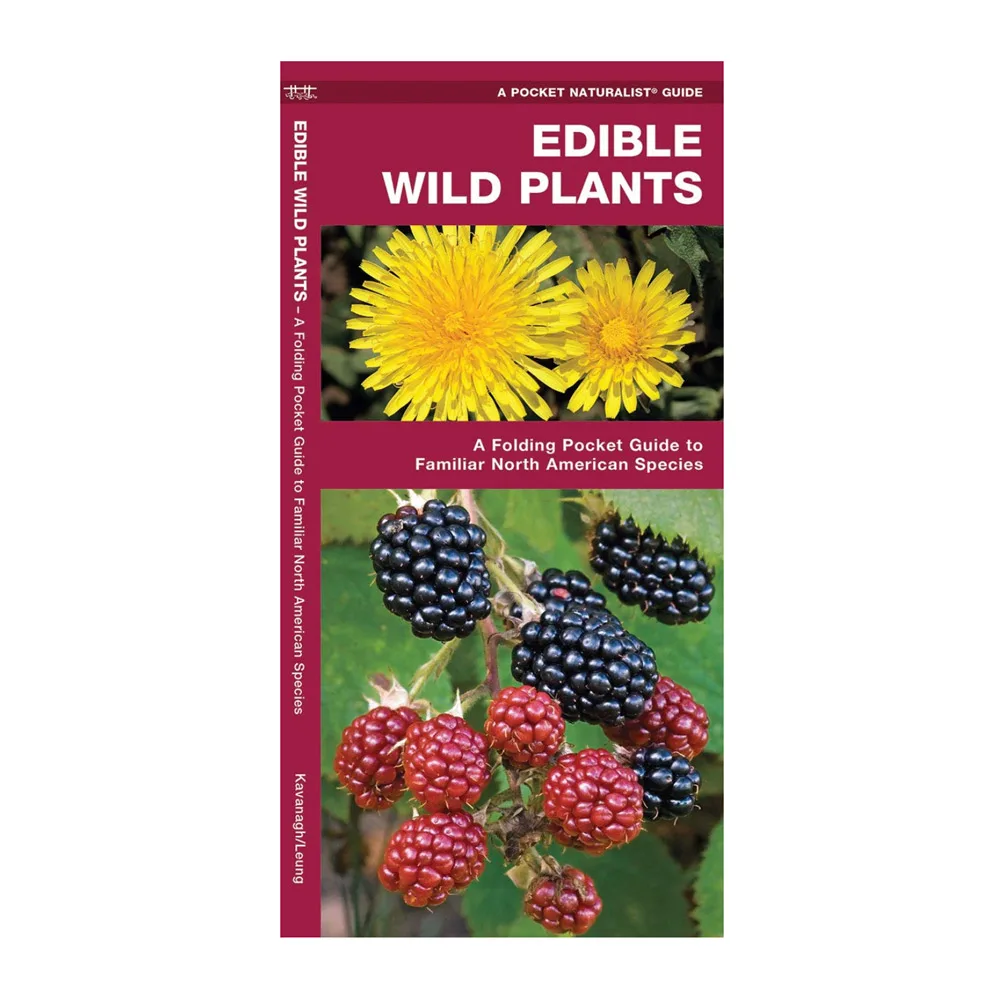 Edible Wild Plants