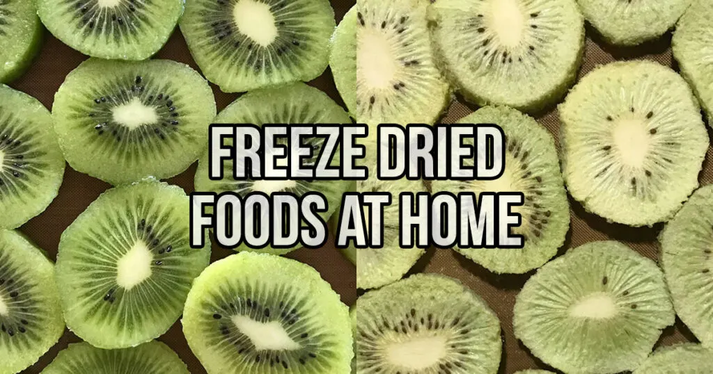 Freeze Dried Foods at Home