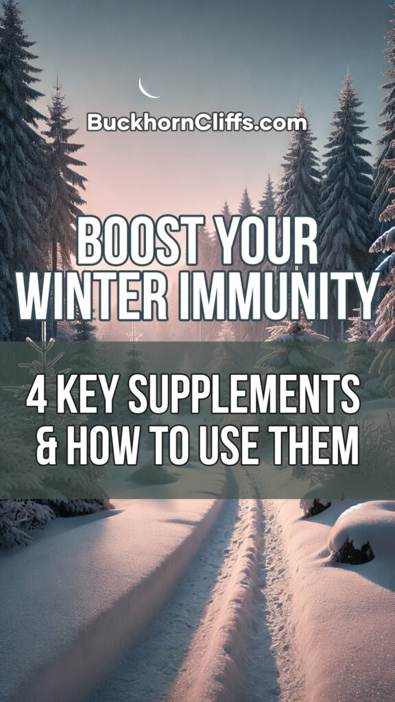 Boost Your Winter Immunity: 4 Key Supplements and How to Use Them