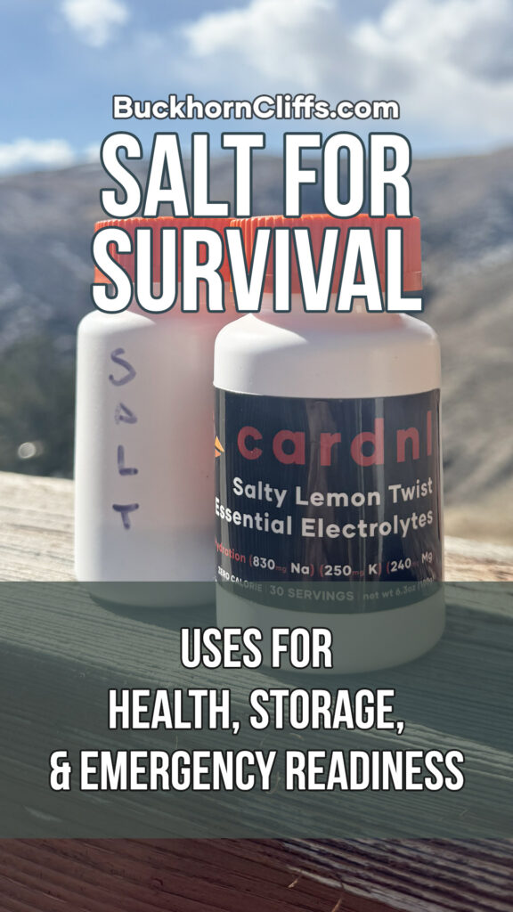 Salt for Survival: Essential Uses for Health, Storage, and Emergency Readiness