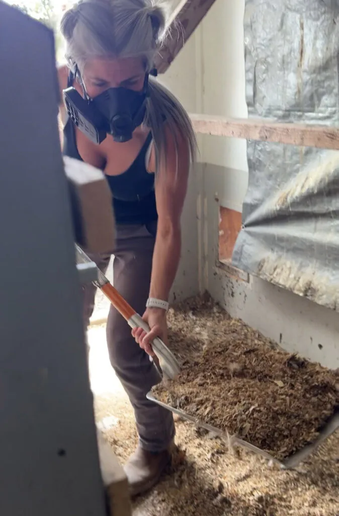 Chicken Coop Cleanup with half mask from Avon