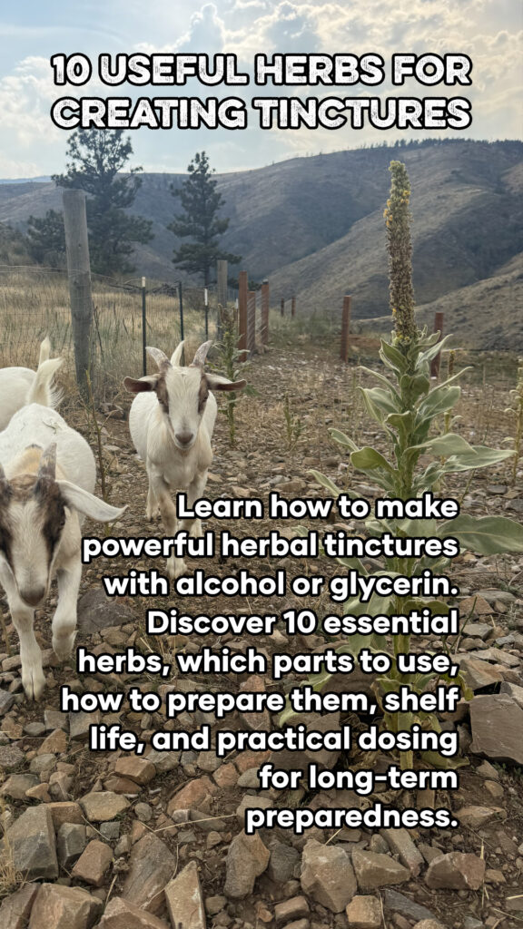 Herbs for Creating Tinctures