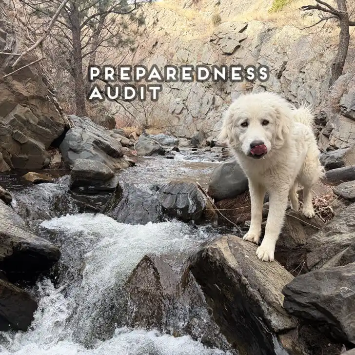 Preparedness Audit