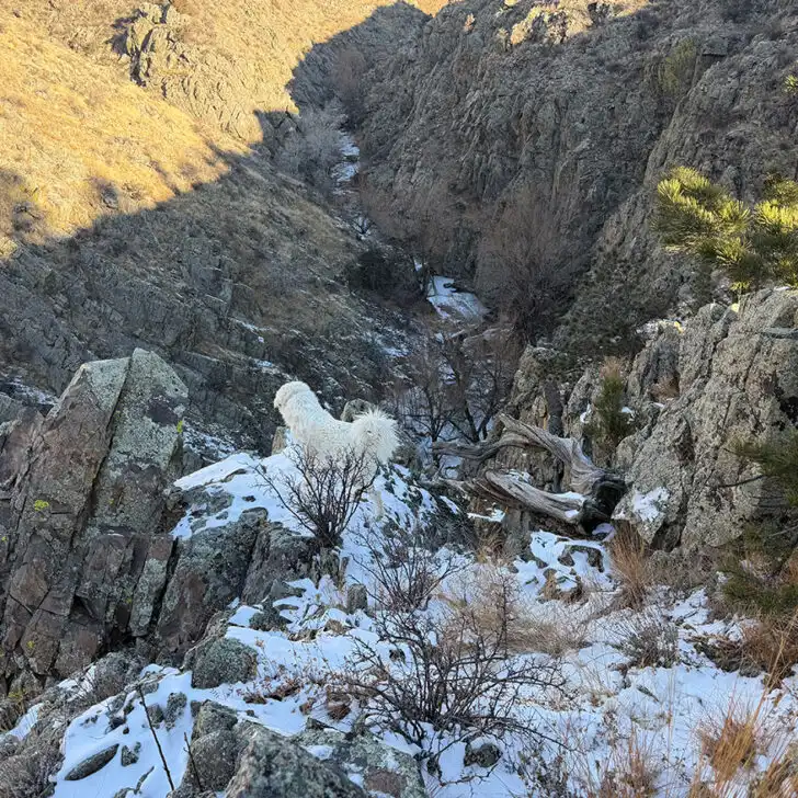 Rough Terrain SpotOn