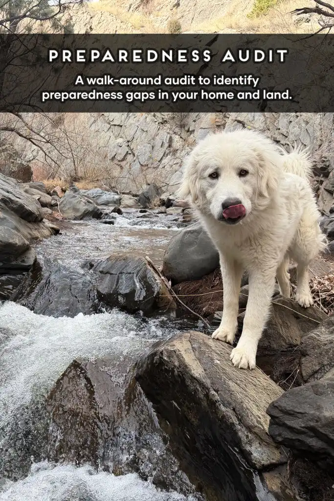 Walk-Around Preparedness Audit