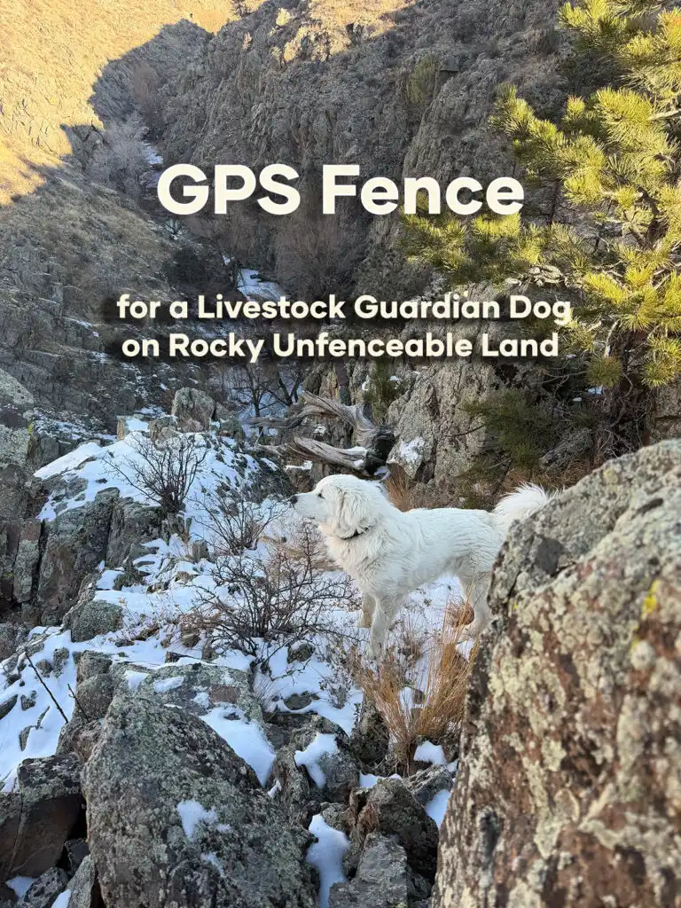 Why a GPS Fence Made Sense for a Livestock Guardian Dog on Rocky Unfenceable Land