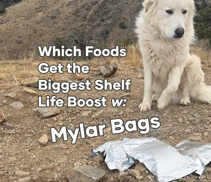 Which Foods Get the Biggest Shelf Life Boost with Mylar Bags