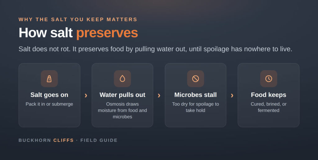 How salt preserves